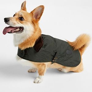 Quilted Dog Barbour Jacket
